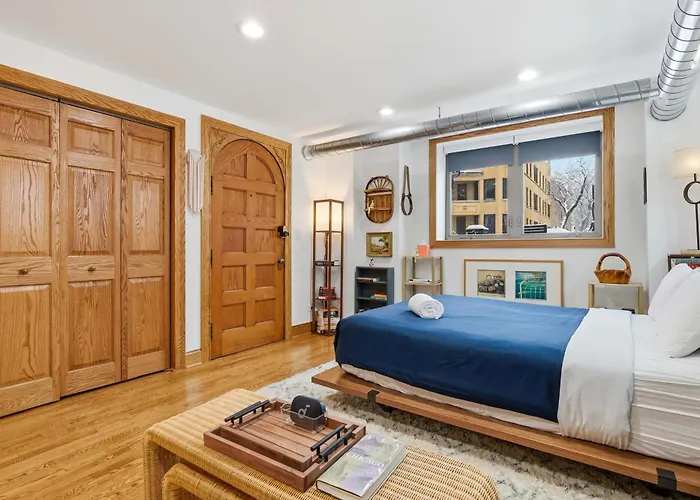 Fully Updated Jr, 1 Bed, Steps From Lincoln Park Apartment Chicago